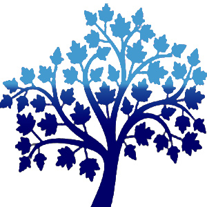 Осенние скидки стоматологии на Кунцевской