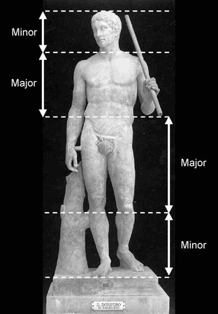 Золотое сечение  - «Божественной пропорции» в человеке